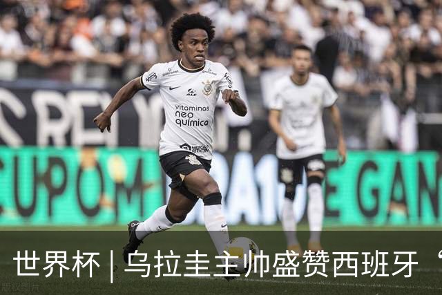 世界杯 | 乌拉圭主帅盛赞西班牙“精致足球”