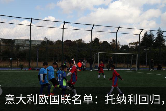 意大利欧国联名单：托纳利回归，卡拉菲奥里在列